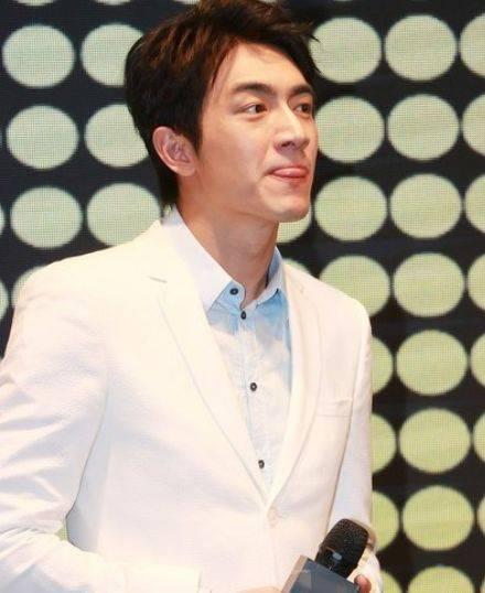 中国90年的男明星,90年代中国男明星风采录