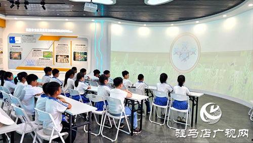 叶县网红培训机构在哪里,揭秘热门培训基地所在地