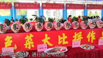 信宜头条,聚焦本土热点，解码民生动态