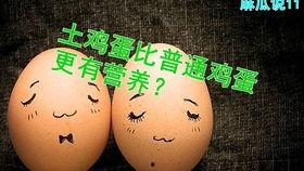 麻瓜老师蛋仔,揭秘魔法世界的神秘蛋仔