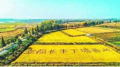 下塘网红地,打卡新晋热门打卡点