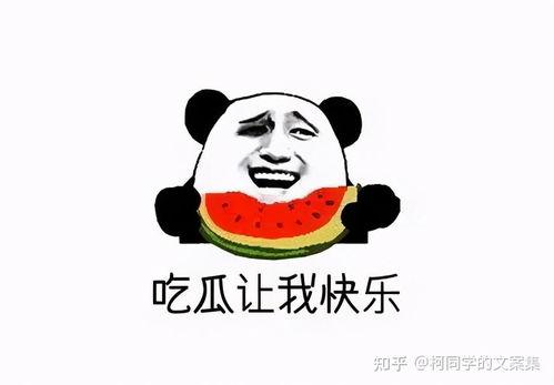 吃瓜能吃到自己,吃瓜也能吃出自我