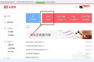 头条阅读记录数量,阅读量突破XX万！揭秘热门文章背后的秘密