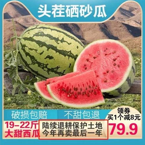 吃瓜的快乐图片大全,趣味吃瓜瞬间大盘点