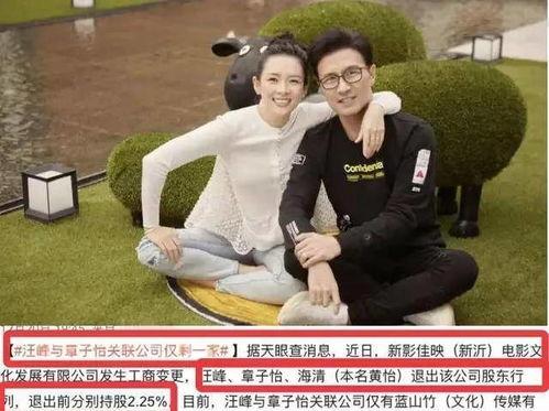 娱乐圈吃瓜爆料汪峰视频