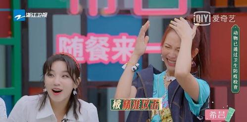 娱乐吃瓜酱讲故事,揭秘明星背后的那些事