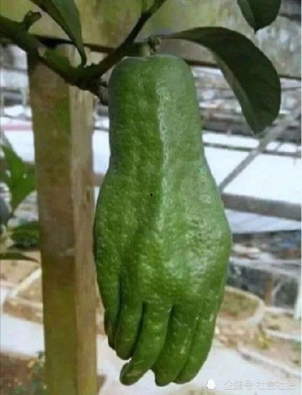 娱乐圈大瓜吃瓜,揭秘明星背后的惊人真相