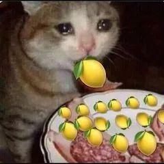 微信吃瓜的表情包怎么不见了