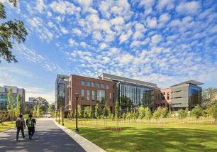 娱乐吃瓜酱洛阳理工学院