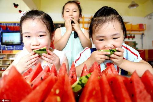 吃瓜活动主题,一场别开生面的吃瓜盛宴