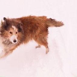 娱乐吃瓜少女喵,揭秘娱乐圈那些不为人知的幕后故事