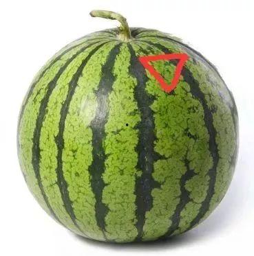 西瓜娱乐吃瓜君