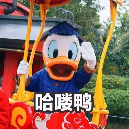 吃瓜娱乐鸭