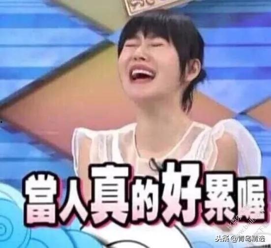 娱乐圈吃瓜内容有哪些