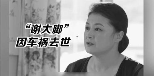 娱乐圈的吃瓜影帝在哪看,影帝吃瓜现场，独家追踪报道