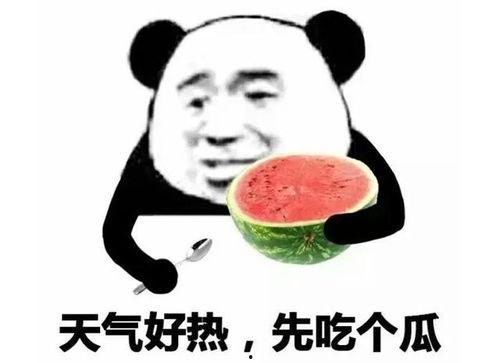 吃瓜表情怎么回