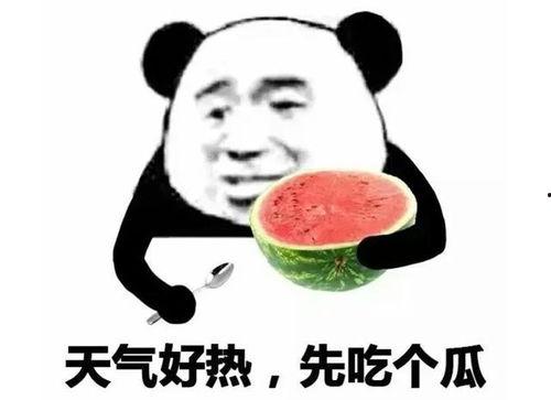 表情包里吃瓜的表情是什么意思呀,网络社交中的幽默与讽刺