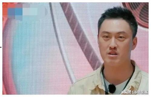 娱乐圈吃瓜爆料燕子,燕子吃瓜爆料，揭秘明星幕后故事